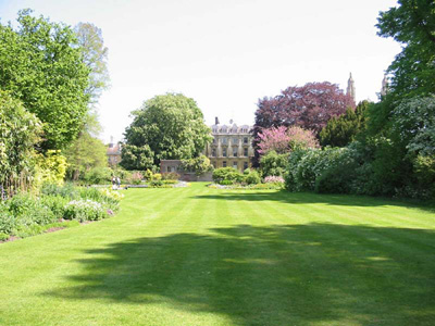 The garden of Clare College